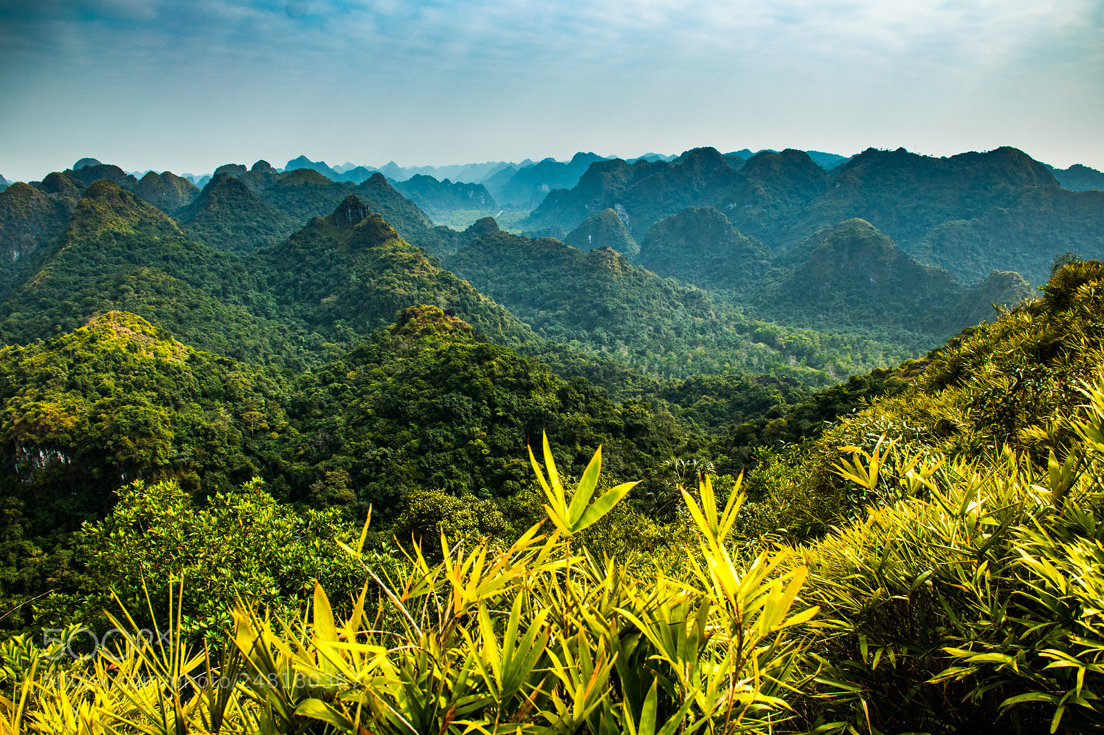 Nikon D5600 sample photo. Cat ba national park photography