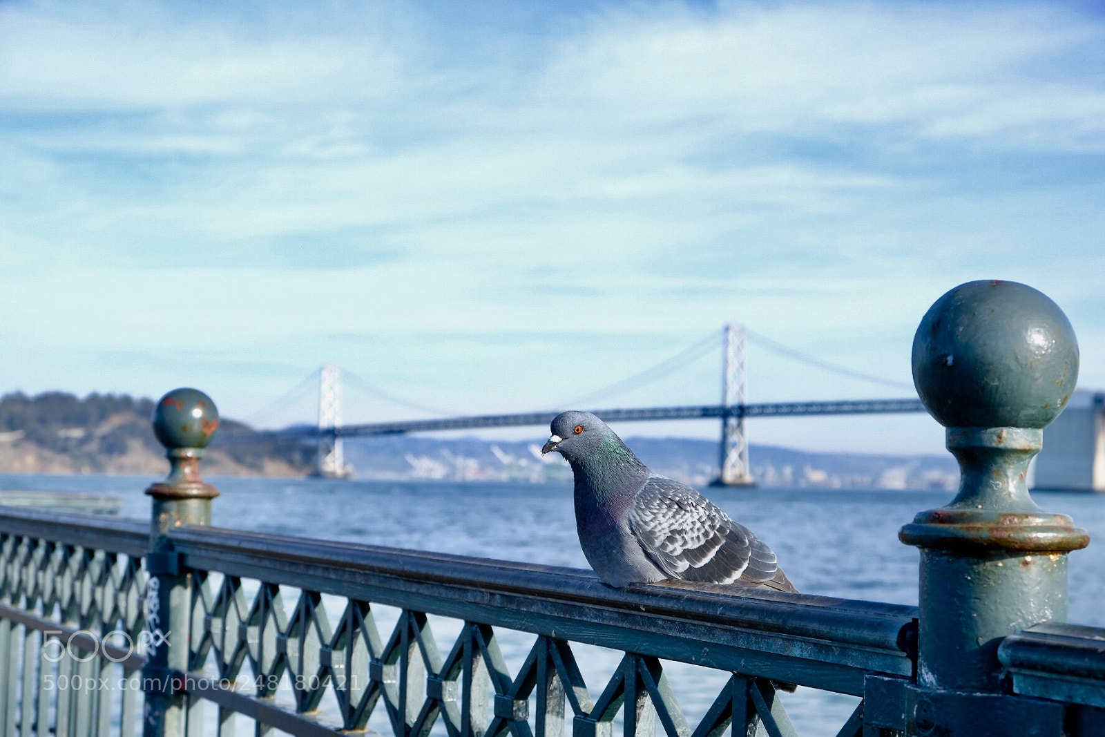 Fujifilm X-T20 sample photo. San francisco photography