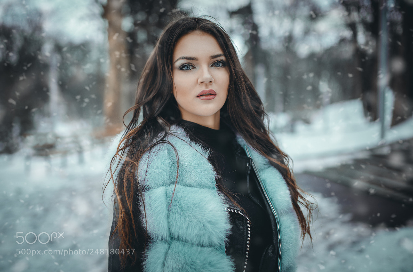 Nikon D850 sample photo. Winter mood photography