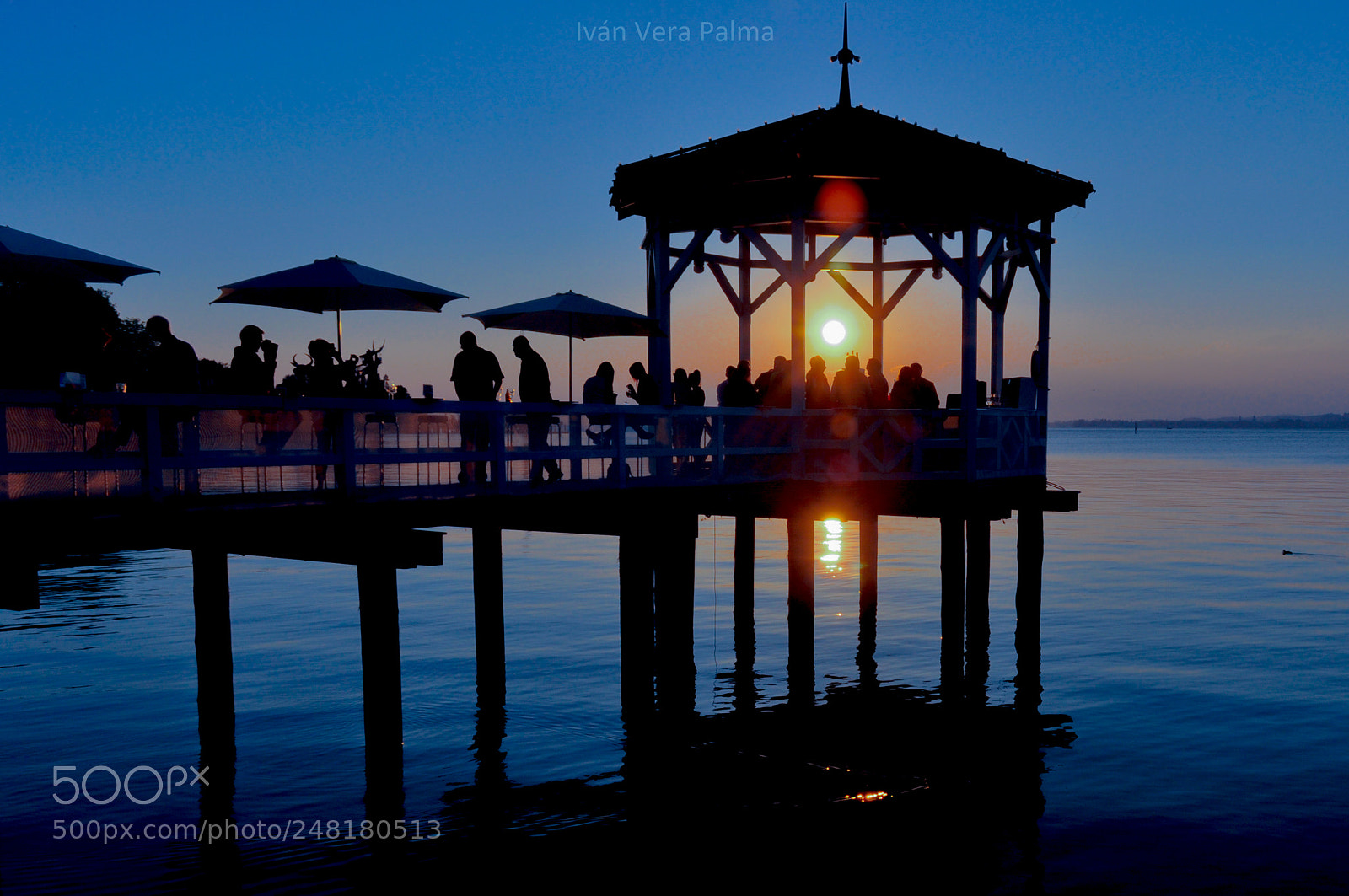 Nikon D90 sample photo. Laube auf dem see photography