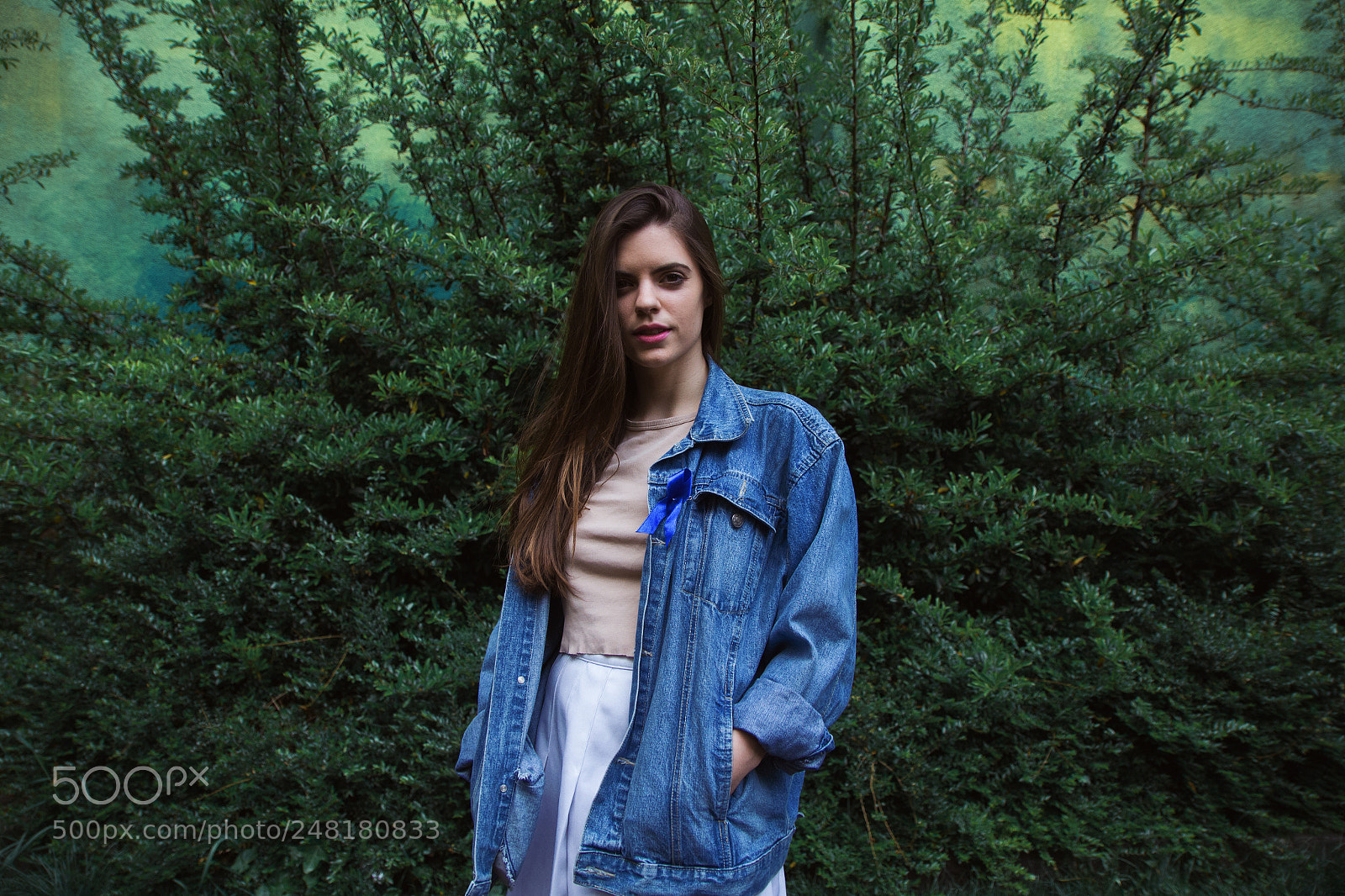 Canon EOS 700D (EOS Rebel T5i / EOS Kiss X7i) sample photo. Stella photography