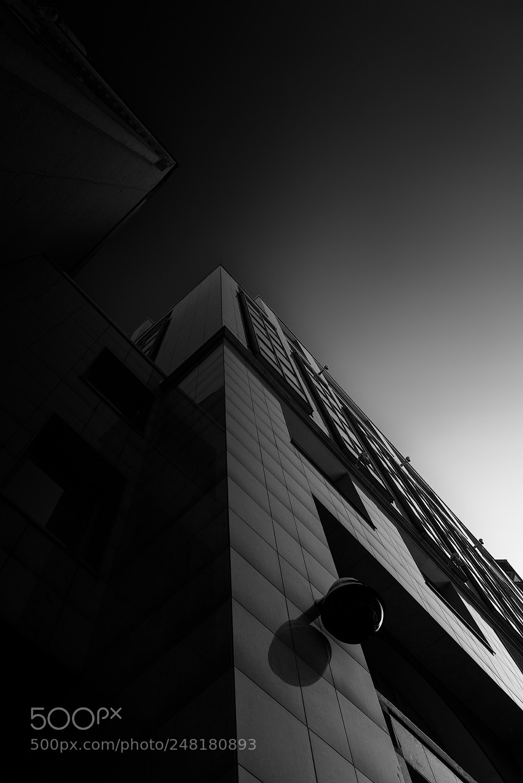 Nikon D810 sample photo. Untitled photography