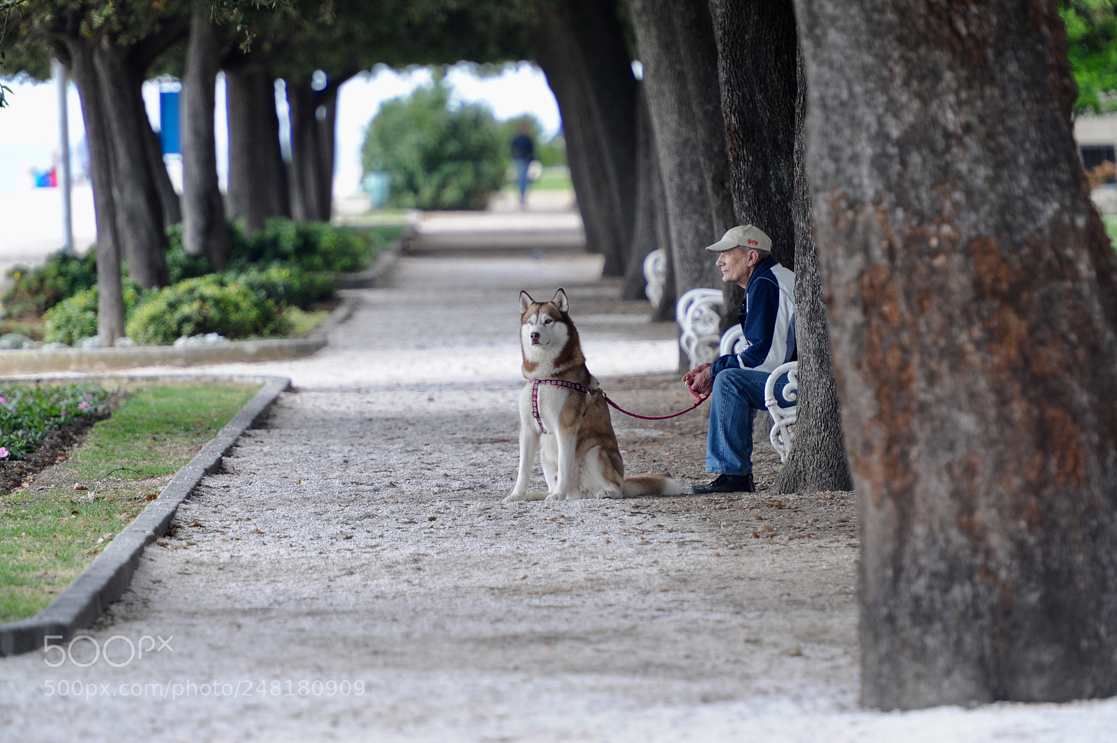 Nikon D3S sample photo. A man and a photography