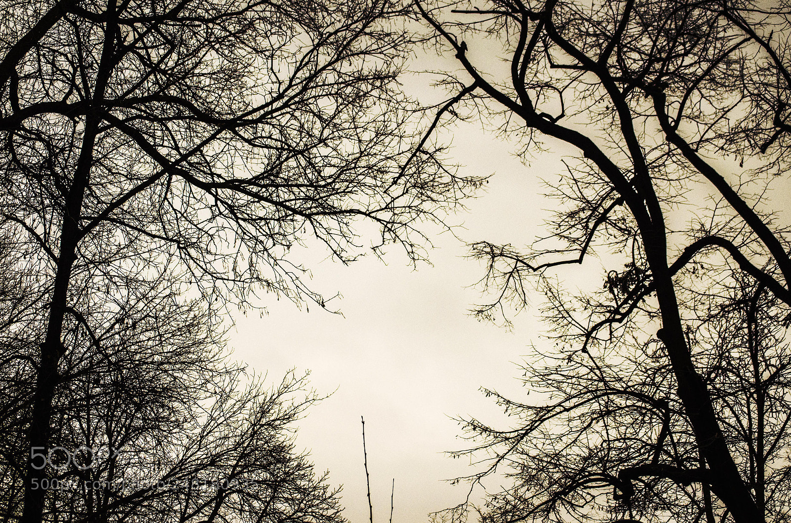 Nikon D5100 sample photo. Dark photography