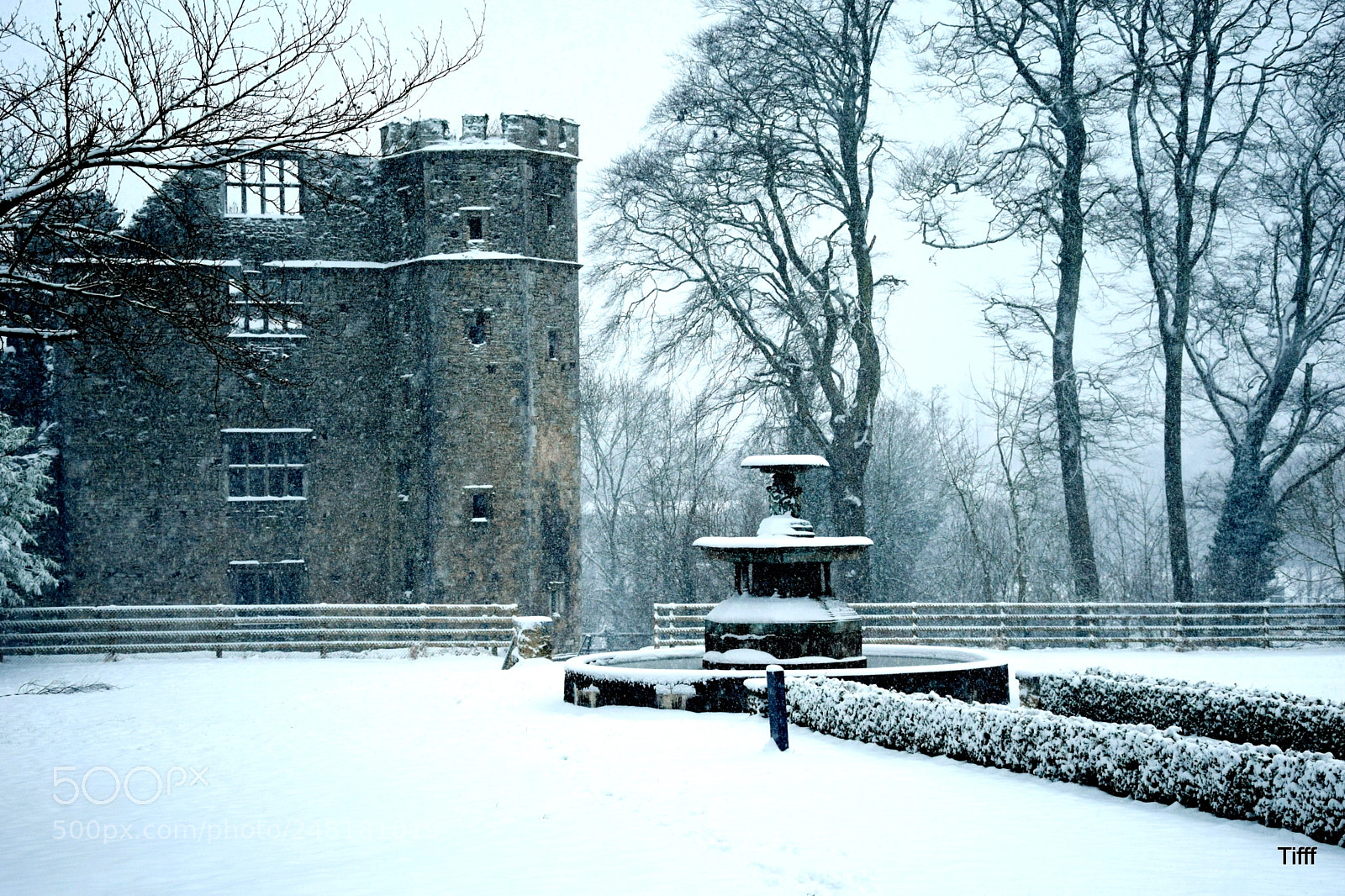 Nikon D5300 sample photo. Castle mallow photography