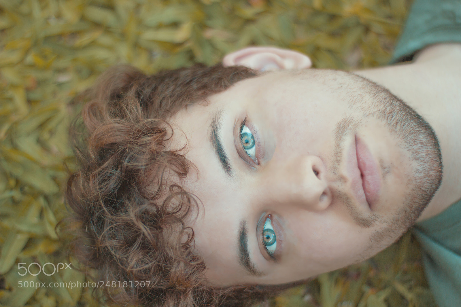 Canon EOS 550D (EOS Rebel T2i / EOS Kiss X4) sample photo. Green eyes photography