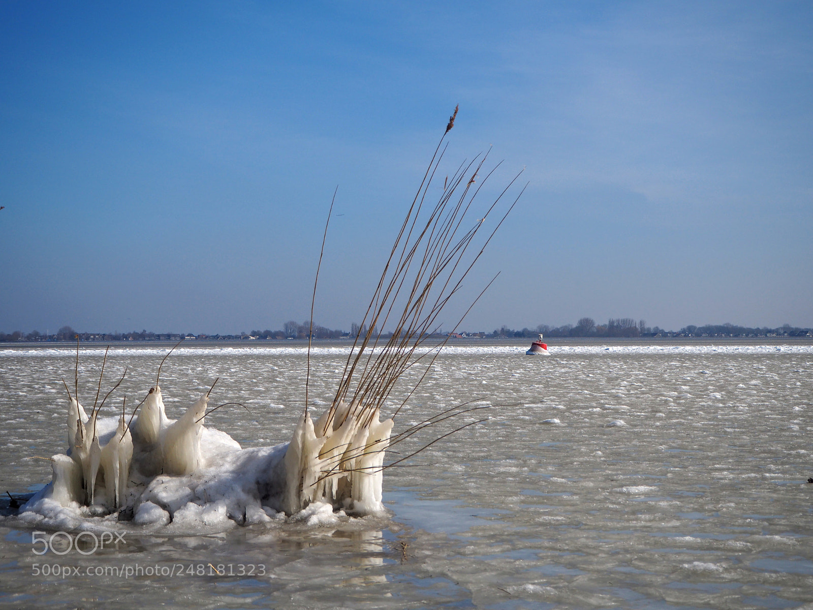Olympus OM-D E-M10 II sample photo. Frozen lake photography