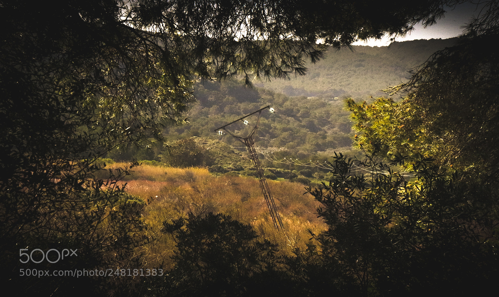 Canon EOS 77D (EOS 9000D / EOS 770D) sample photo. Outside the forrest photography