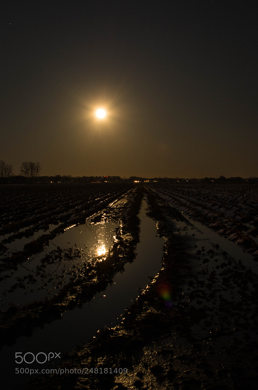Nikon D5200 sample photo. Harvest moon ? photography