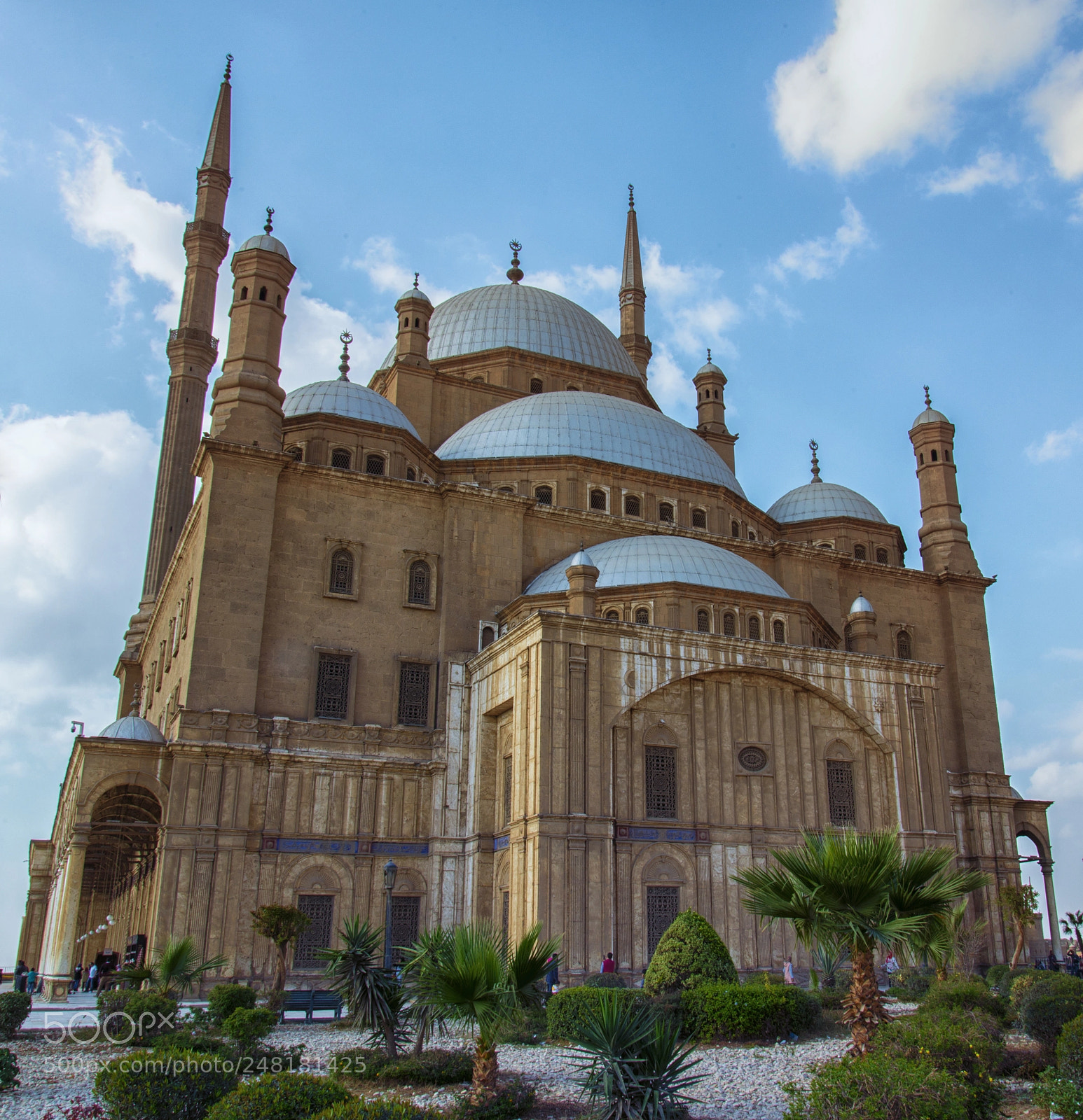 Nikon D610 sample photo. Mohammad ali mosque, cairo photography