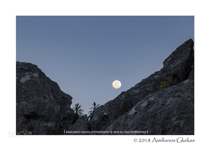Canon EOS 760D (EOS Rebel T6s / EOS 8000D) sample photo. Full moon rises between photography