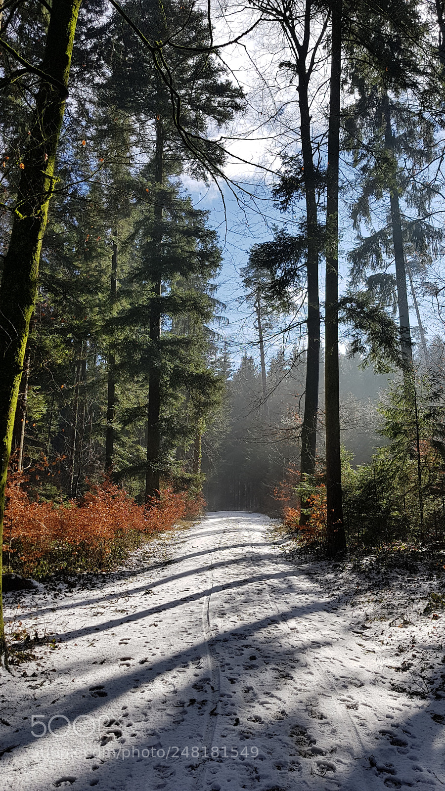Samsung Galaxy S8+ sample photo. Winterwald photography