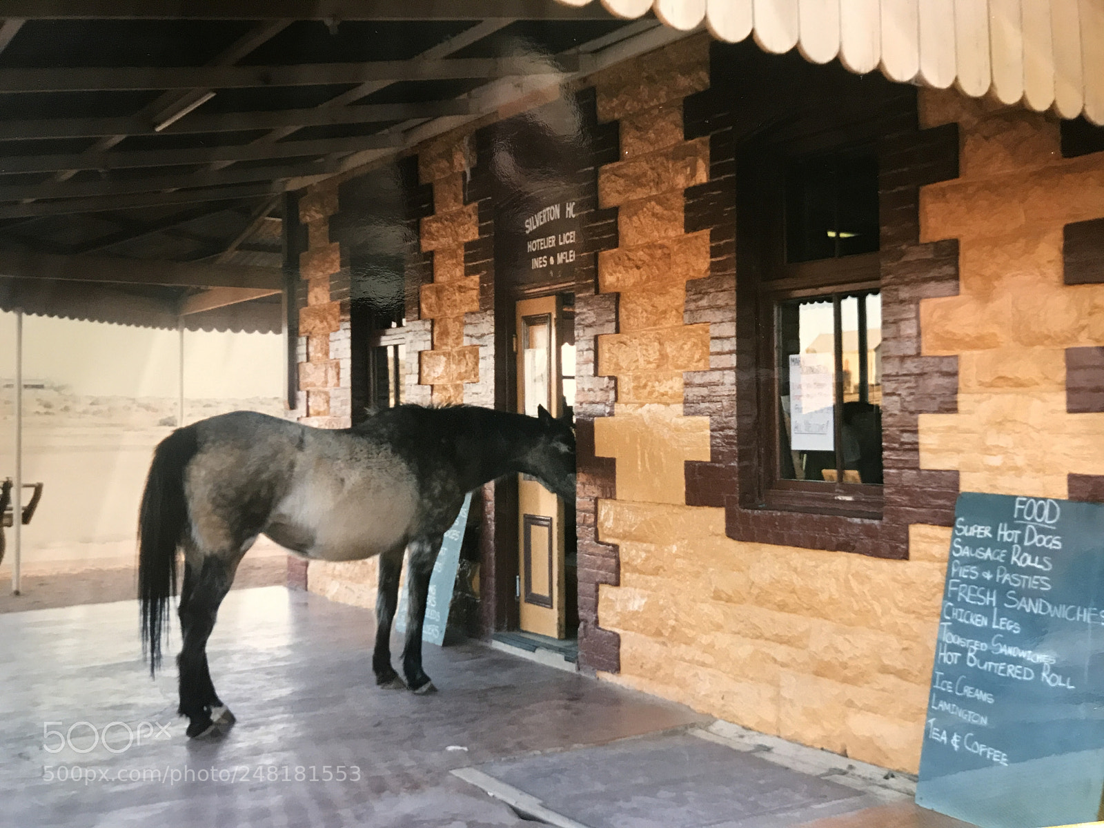 Apple iPhone 7 Plus sample photo. Horse visit photography