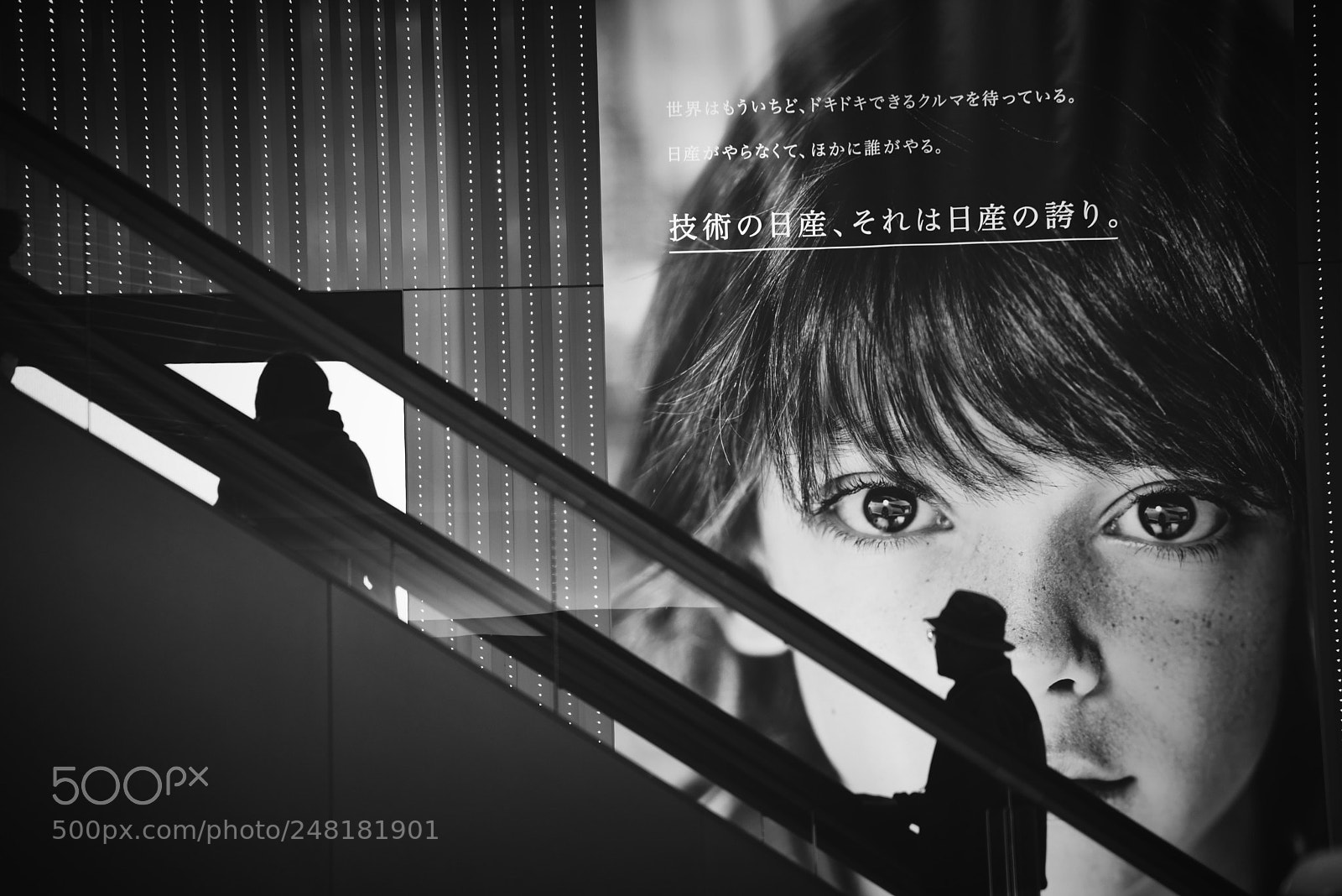 Nikon AF-S Nikkor 24-120mm F4G ED VR sample photo. Emerge silhouette photography