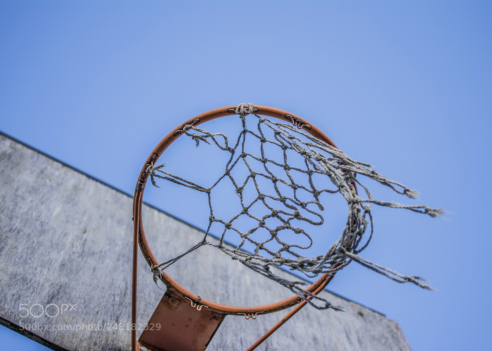 Nikon D5200 sample photo. Backboard photography