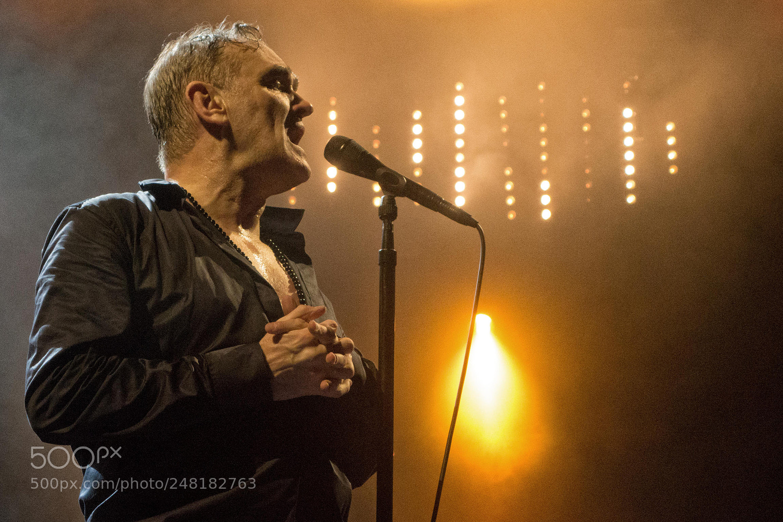 Sony Cyber-shot DSC-RX100 II sample photo. Morrissey photography