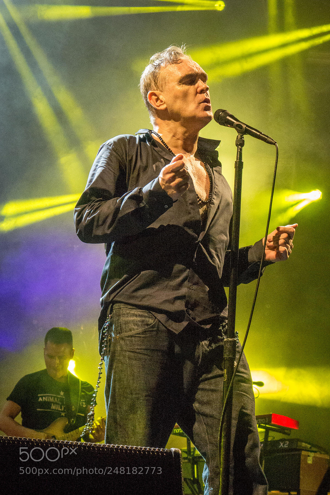 Sony Cyber-shot DSC-RX100 II sample photo. Morrissey photography