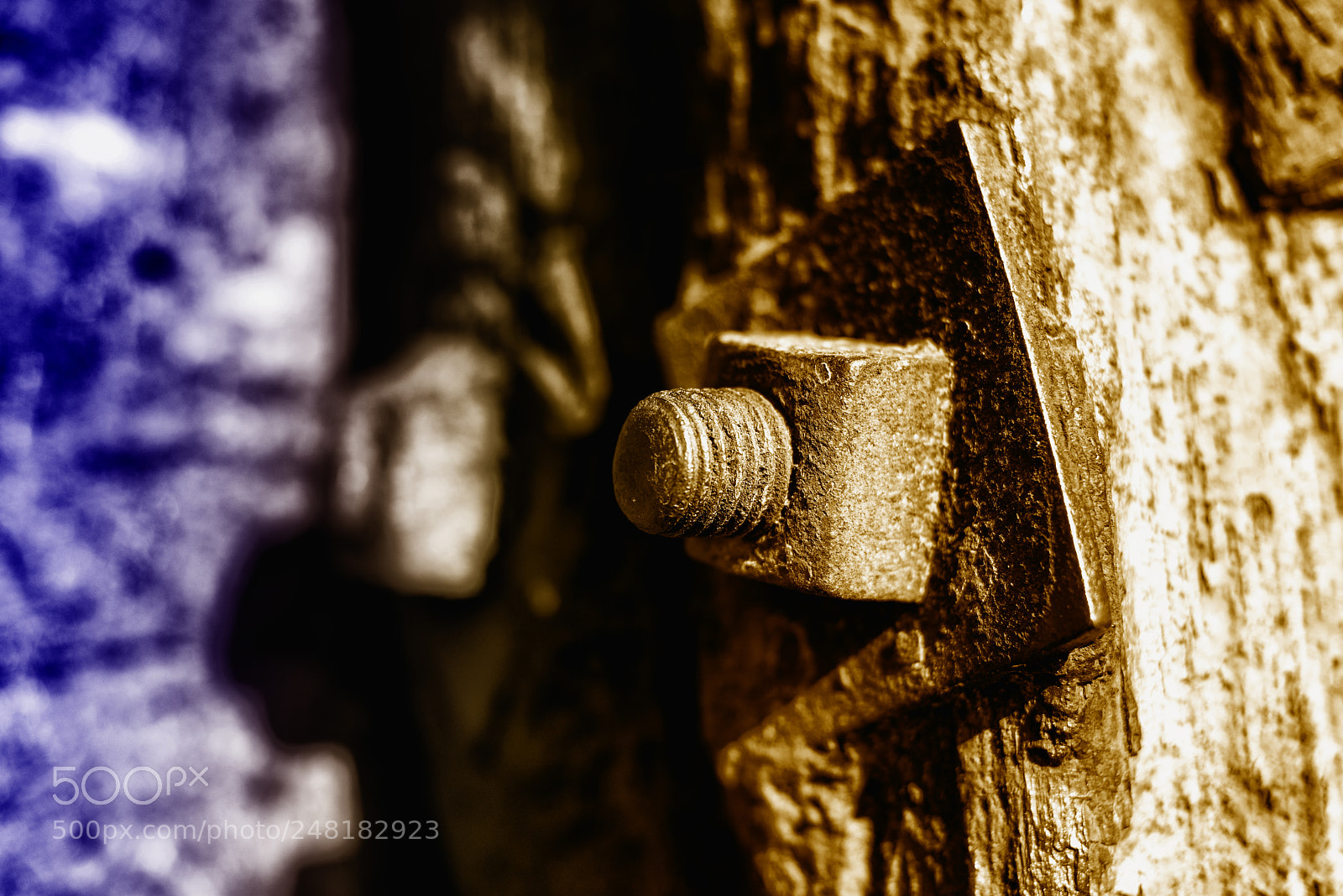 Nikon D800 sample photo. Bolt and rust photography