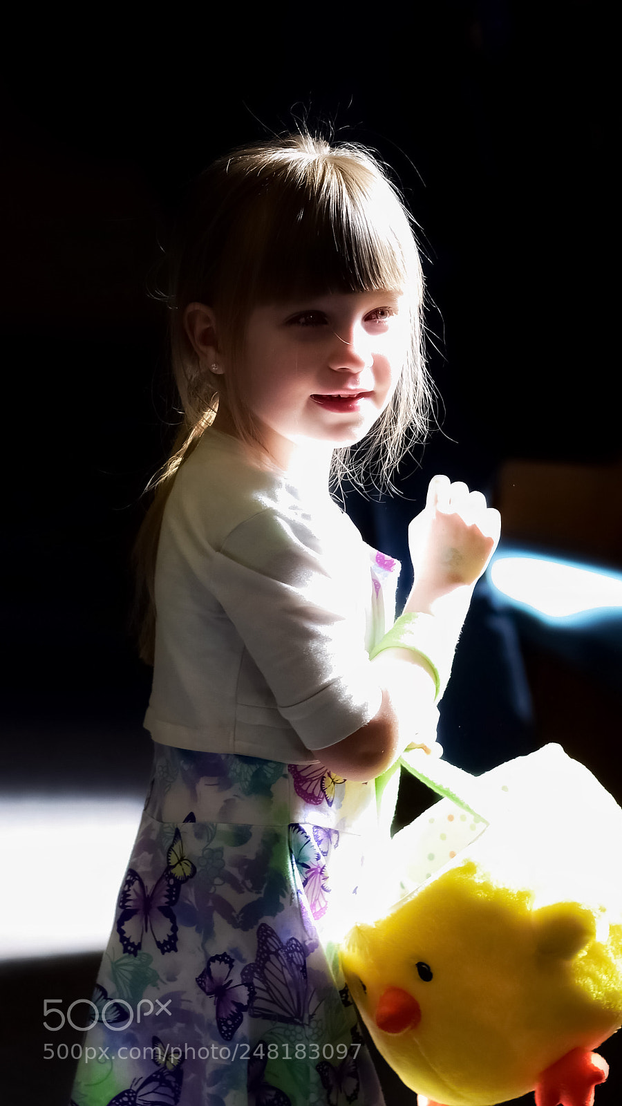 Nikon D5600 sample photo. Untitled photography