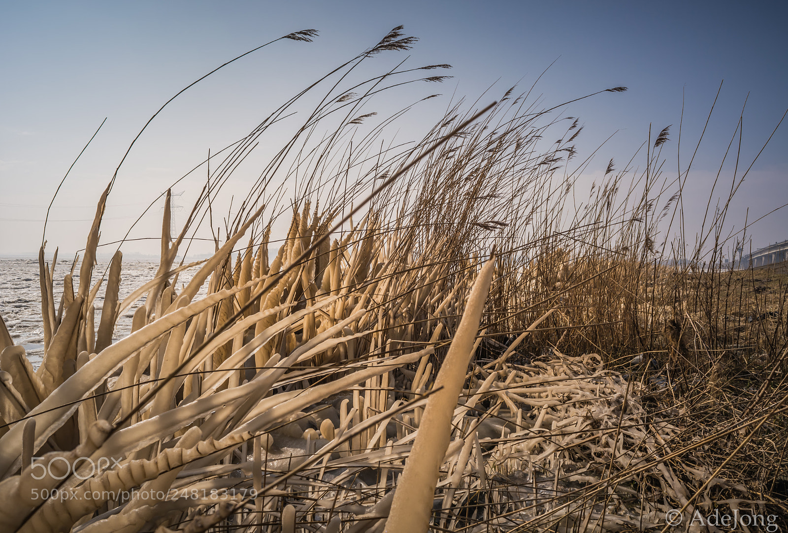Nikon D5200 sample photo. Zwolse hoek netherlands photography