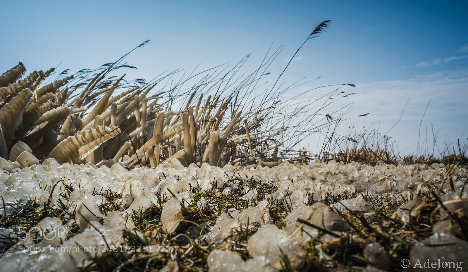 Nikon D5200 sample photo. Zwolse hoek netherlands photography