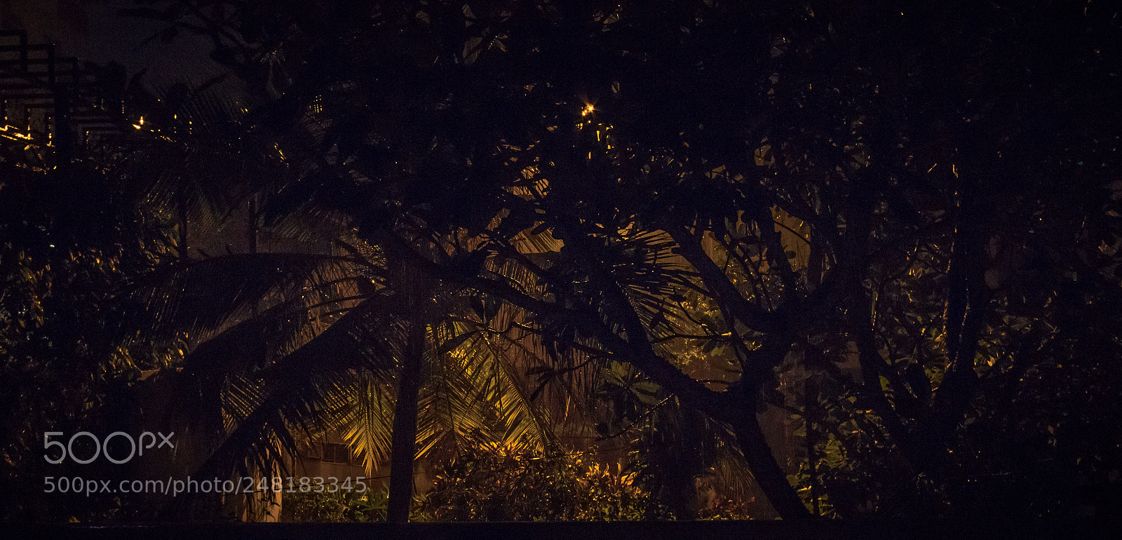 Canon EOS 600D (Rebel EOS T3i / EOS Kiss X5) sample photo. Rainy nights in colombo photography
