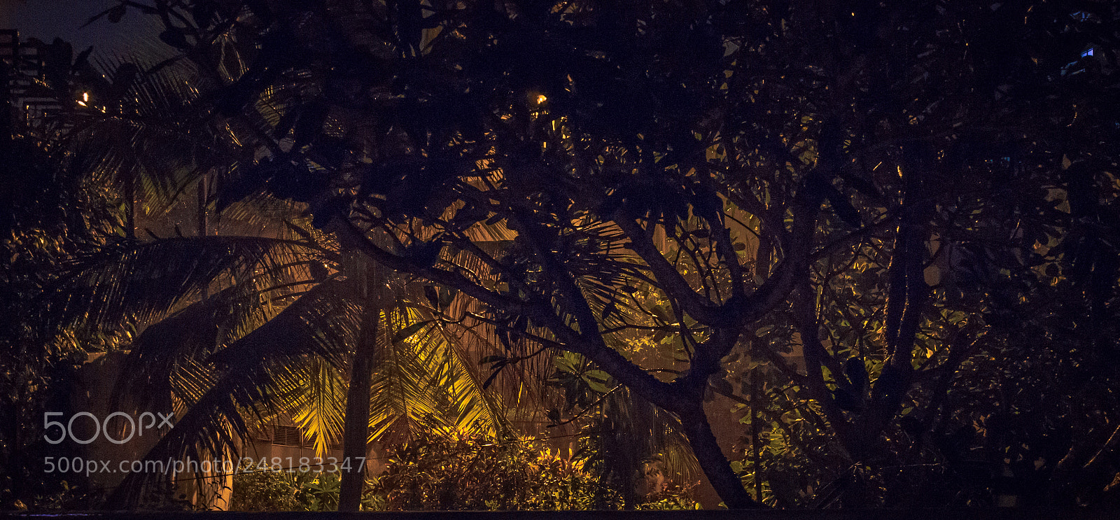 Canon EOS 600D (Rebel EOS T3i / EOS Kiss X5) sample photo. Rainy nights in colombo #2 photography