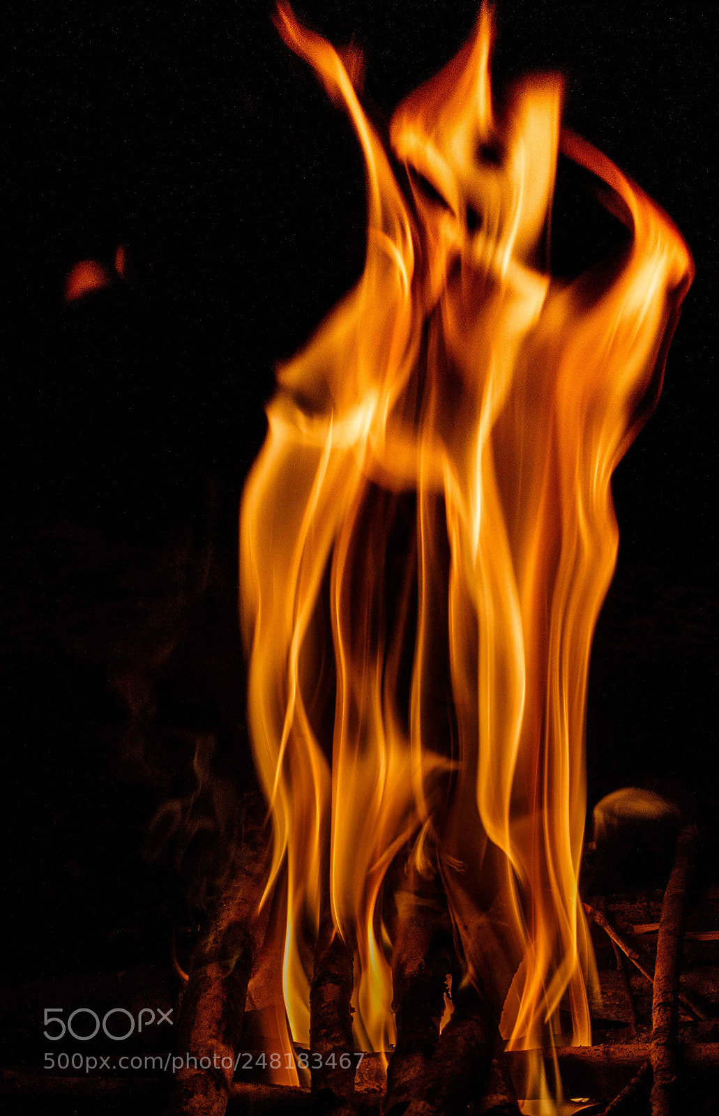 Canon EOS 7D Mark II sample photo. Specter photography