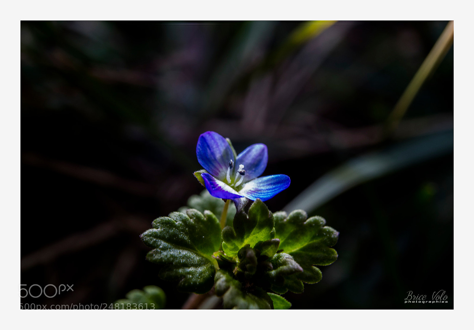 Canon EOS 5DS sample photo. Untitled photography