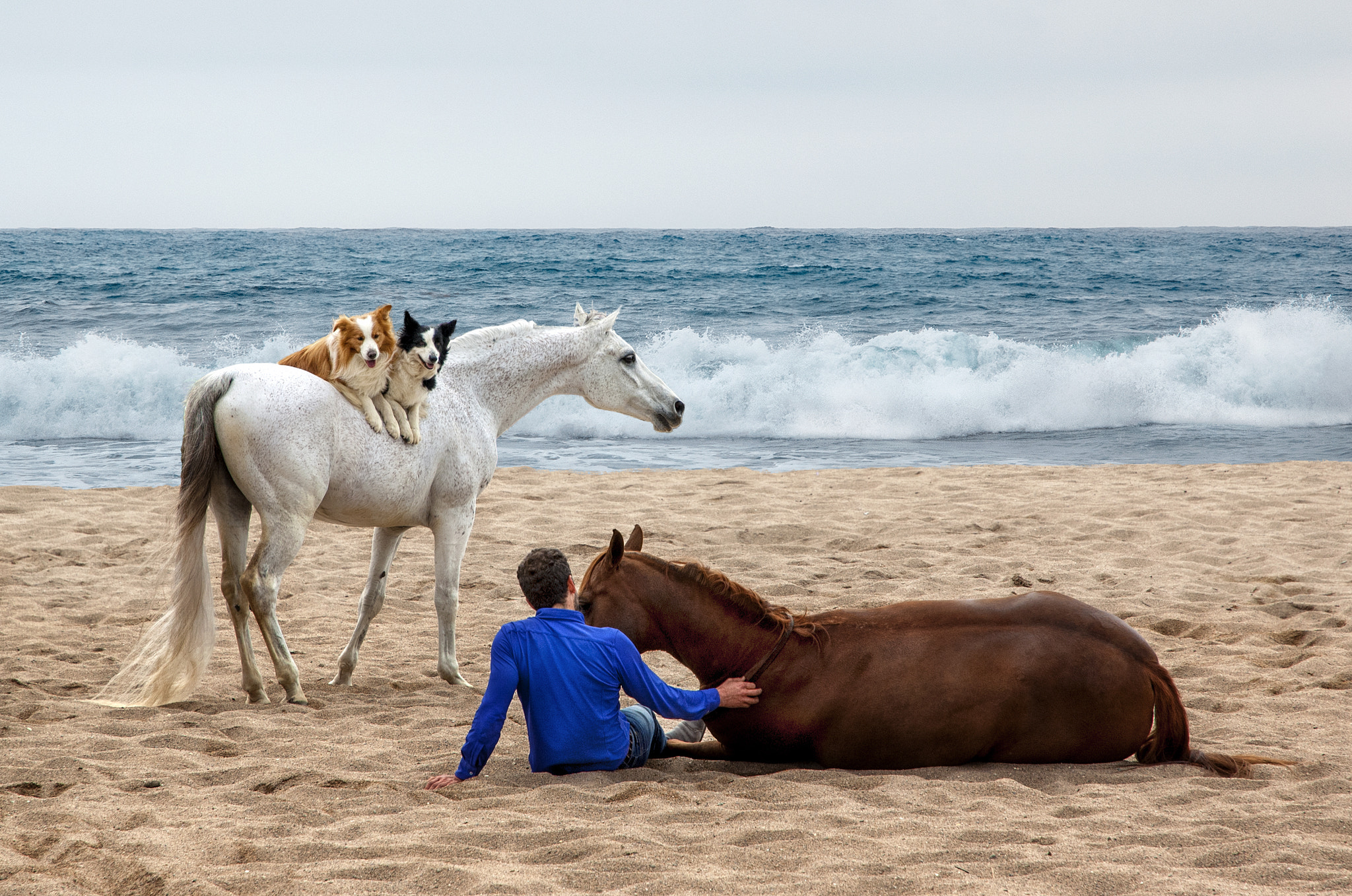 Nikon D2Xs sample photo. Rest on the beach photography