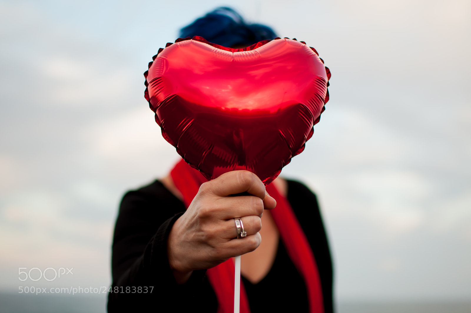 Nikon D90 sample photo. Heart photography
