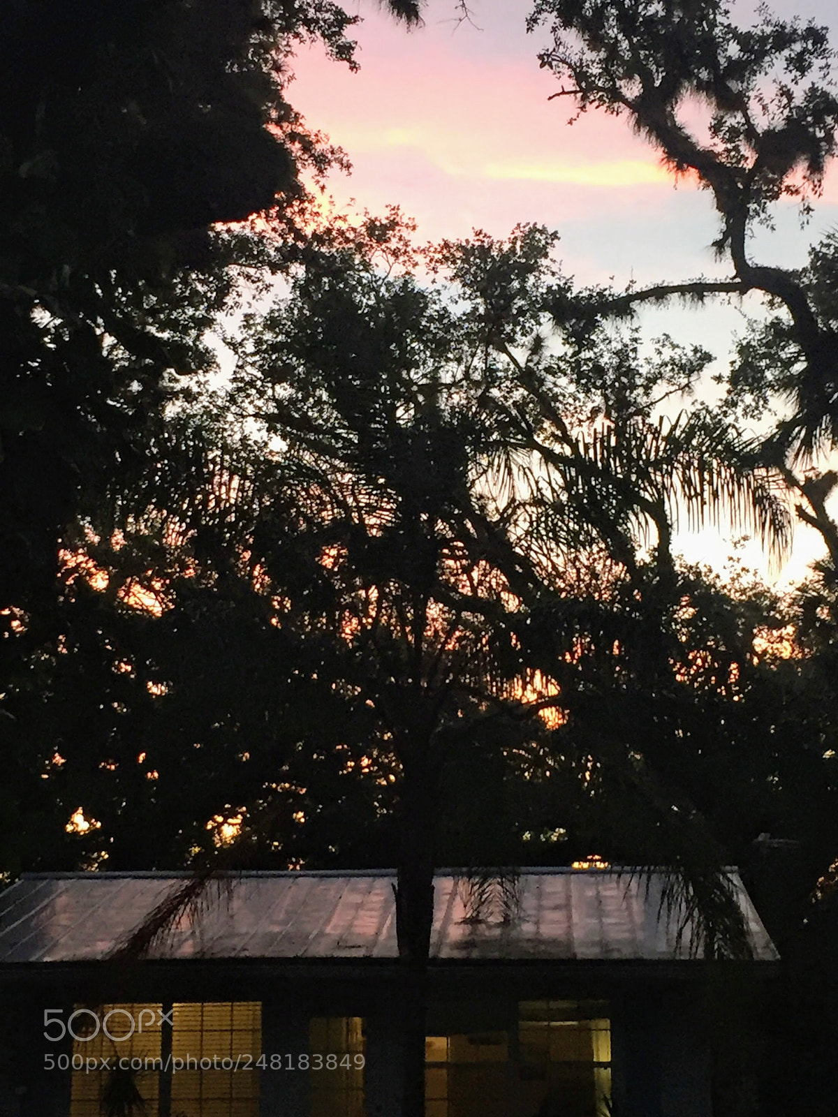 Apple iPhone 6 sample photo. Labelle34 photography