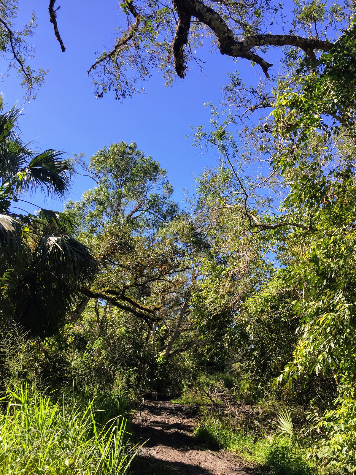Apple iPhone 6 sample photo. Labelle41 photography