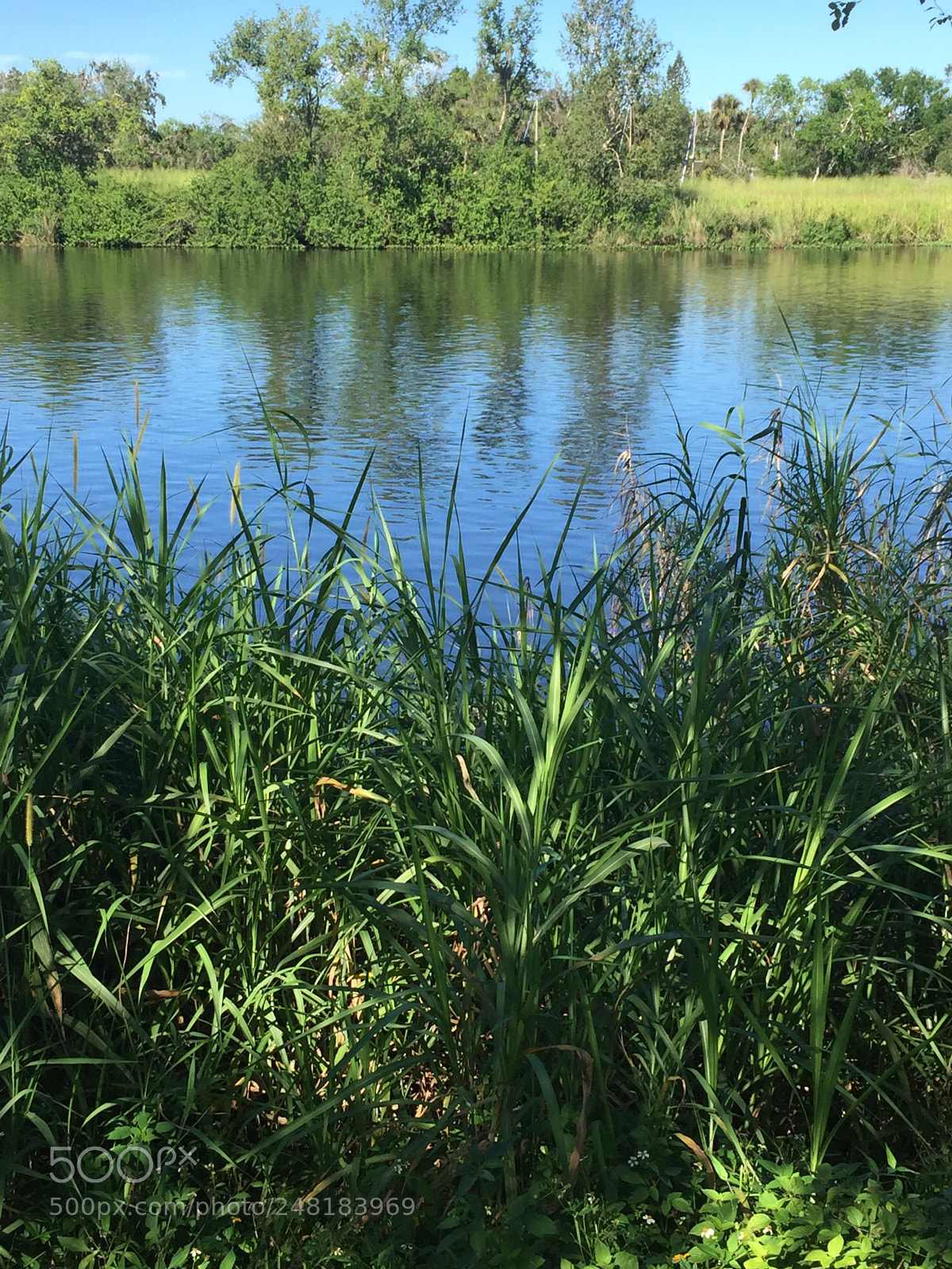 Apple iPhone 6 sample photo. River2 photography