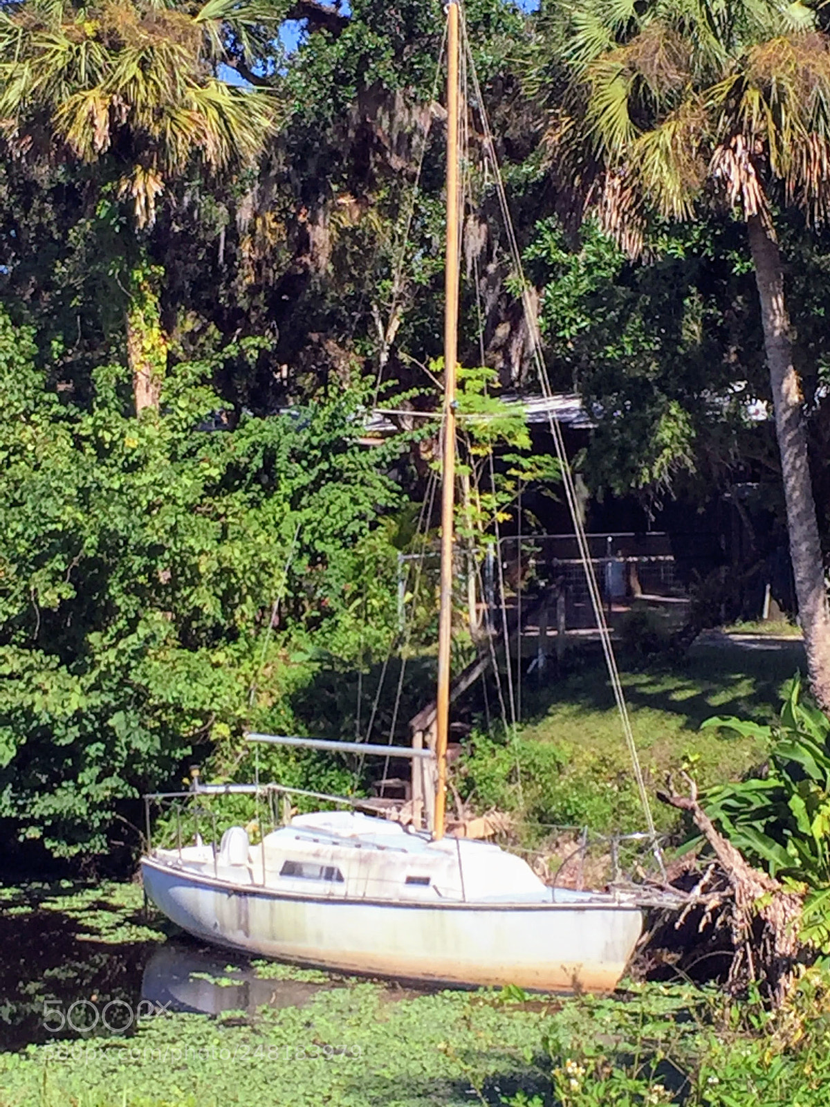 Apple iPhone 6 sample photo. Sailboat1 photography
