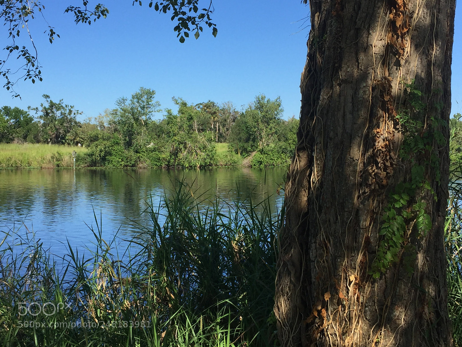 Apple iPhone 6 sample photo. River3 photography
