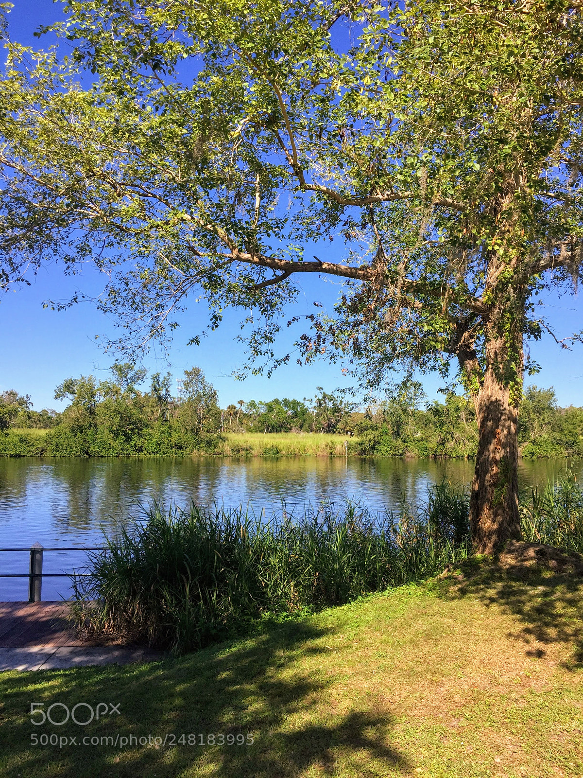 Apple iPhone 6 sample photo. River5 photography