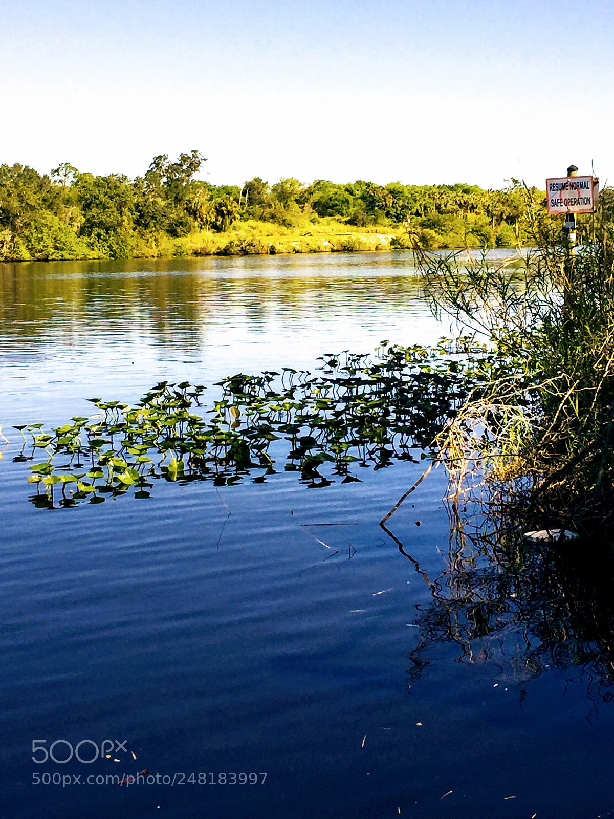 Apple iPhone 6 sample photo. River6 photography