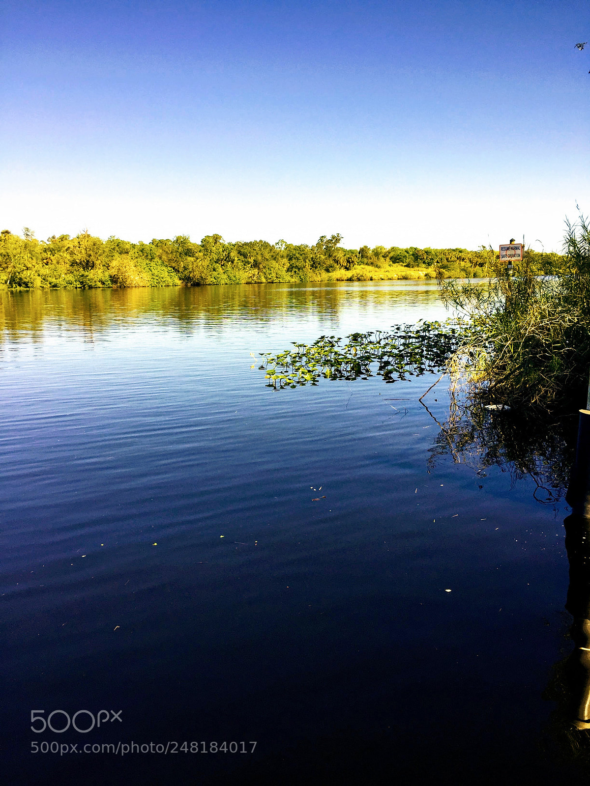 Apple iPhone 6 sample photo. River8 photography