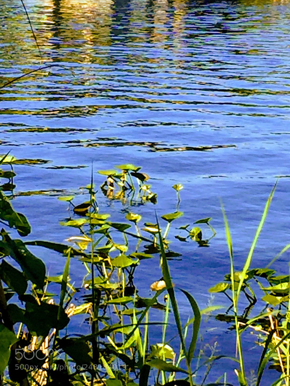 Apple iPhone 6 sample photo. River9 photography