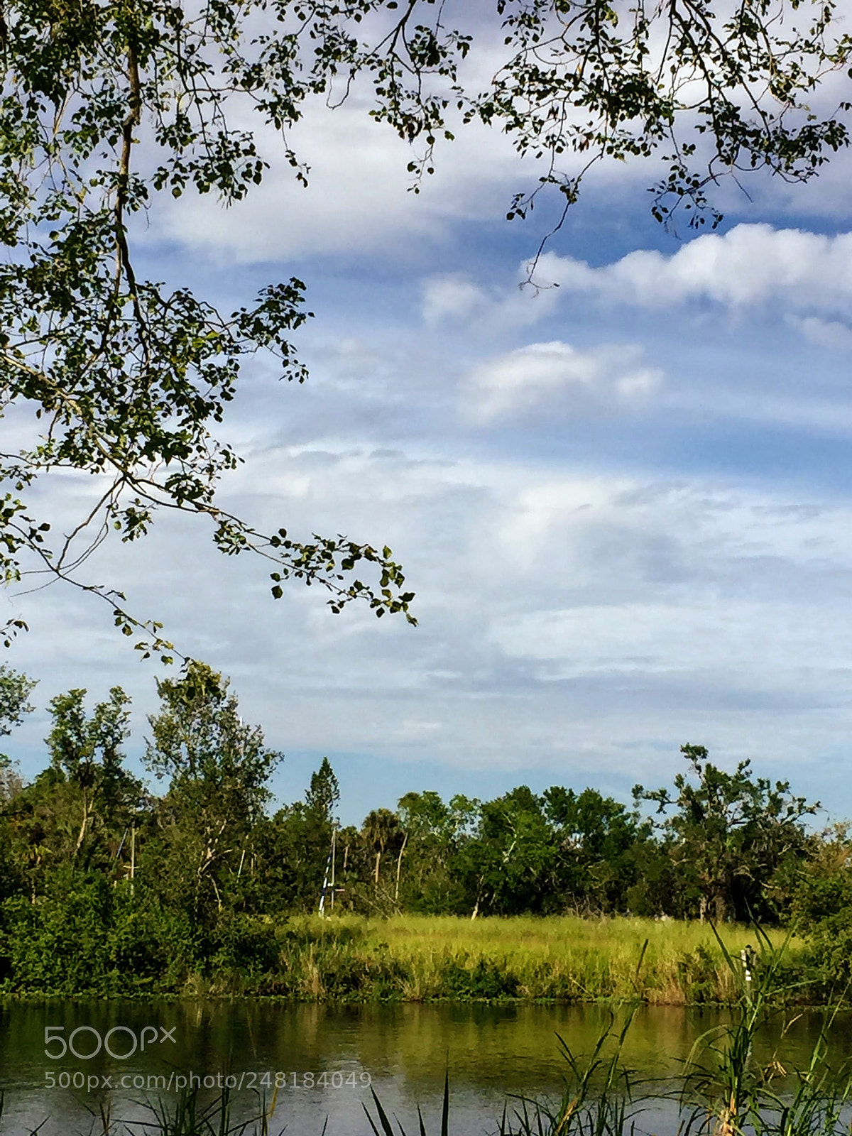 Apple iPhone 6 sample photo. River12 photography