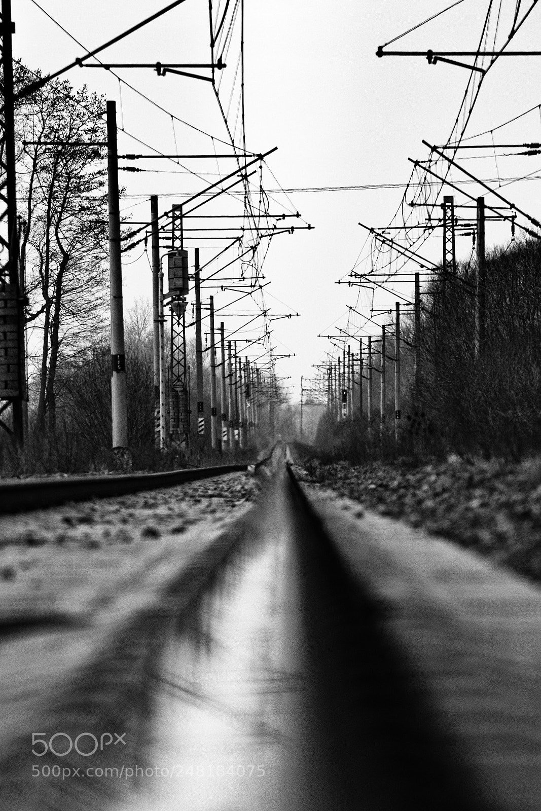 Nikon D7200 sample photo. Reflecting rail photography