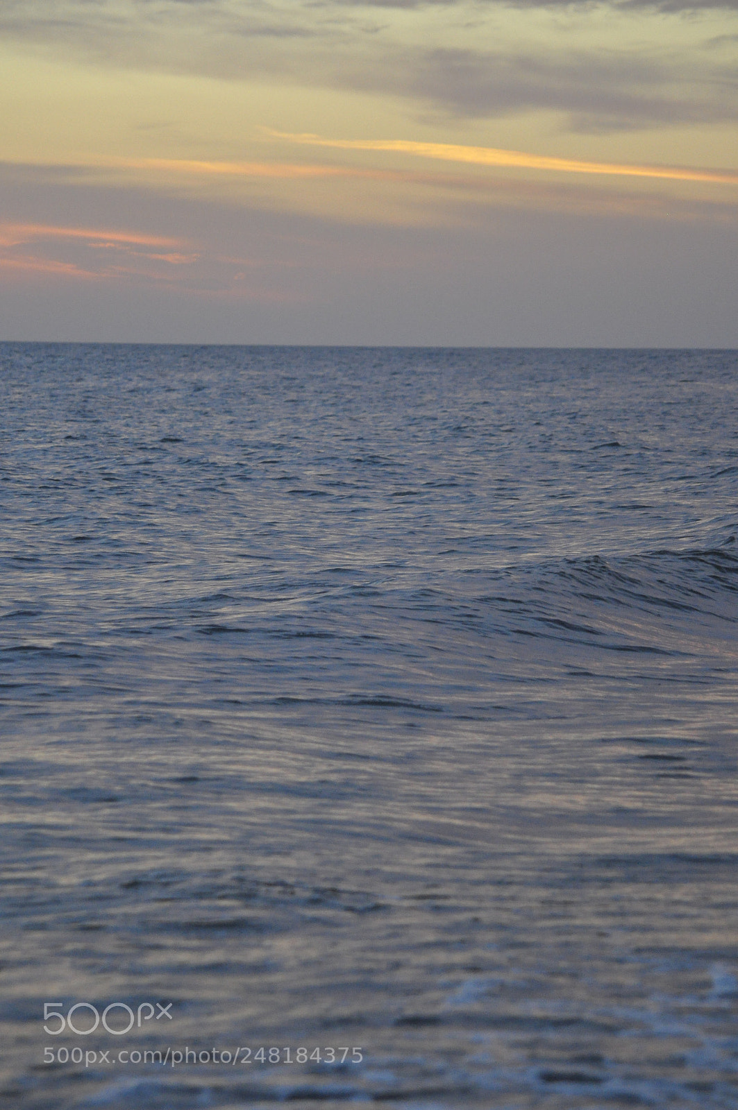 Nikon D5000 sample photo. Sublime photography