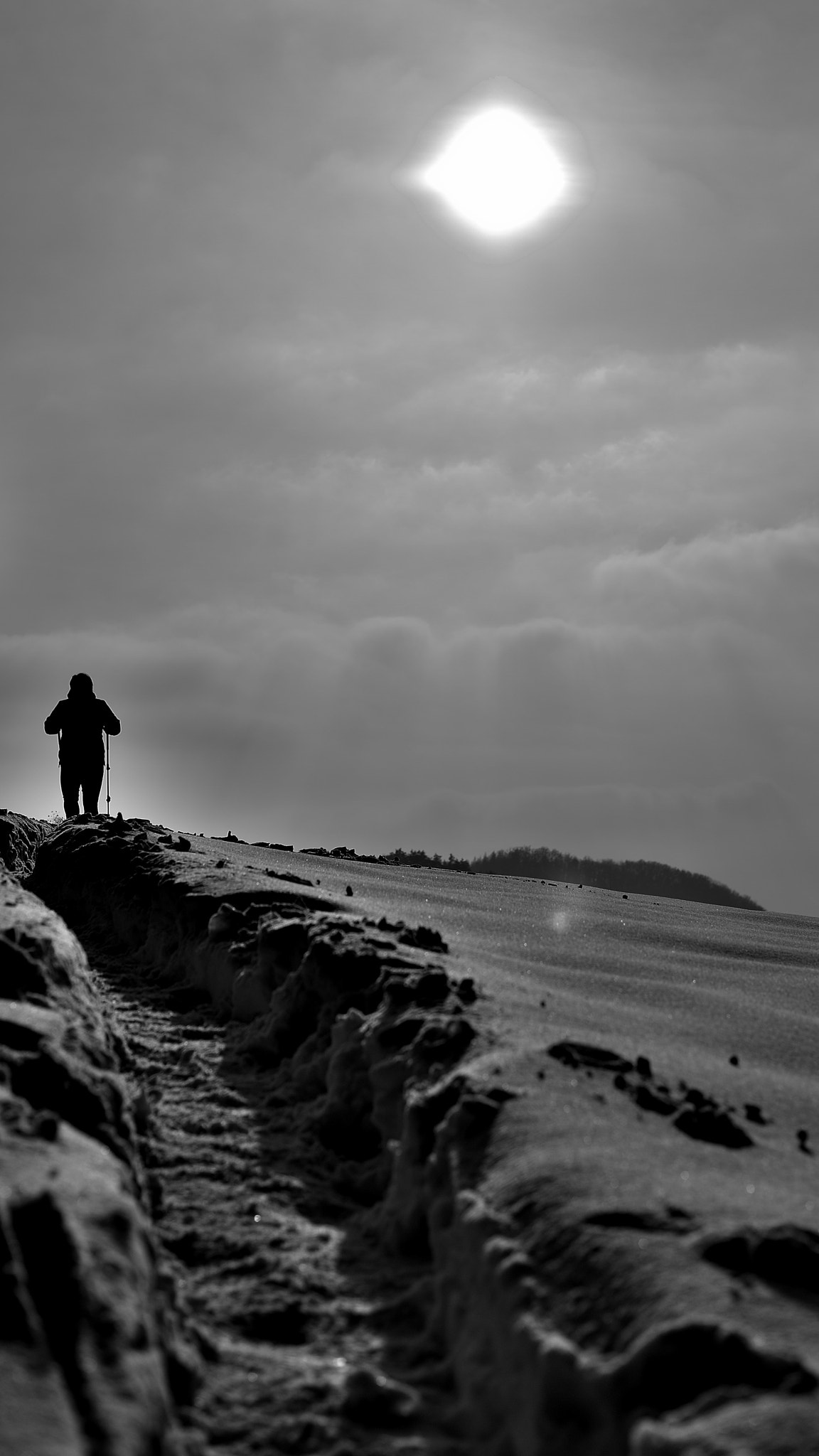 Nikon Df + Nikon AF-S Nikkor 50mm F1.8G sample photo. Winter shine photography