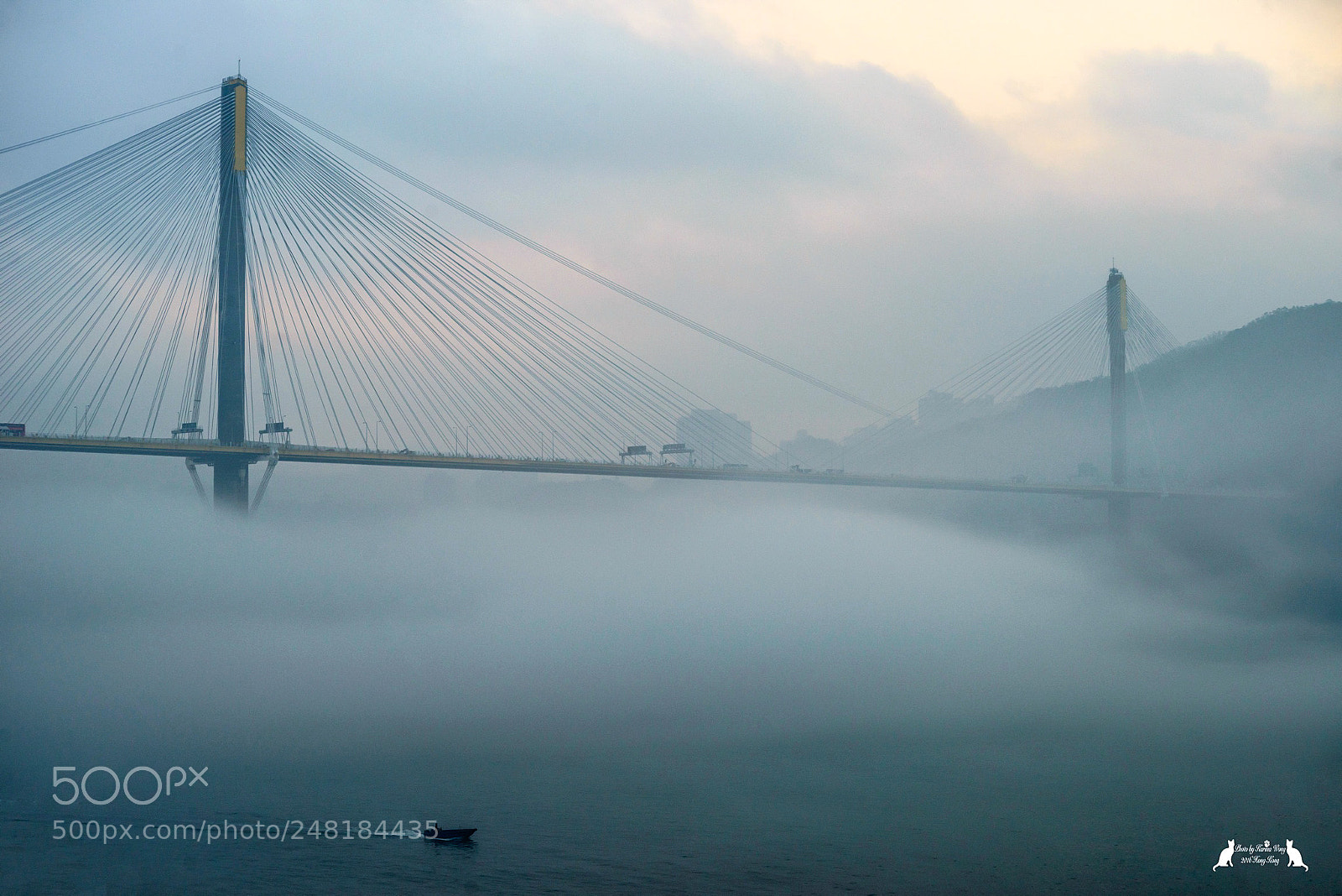 Nikon D800E sample photo. Sea fog photography
