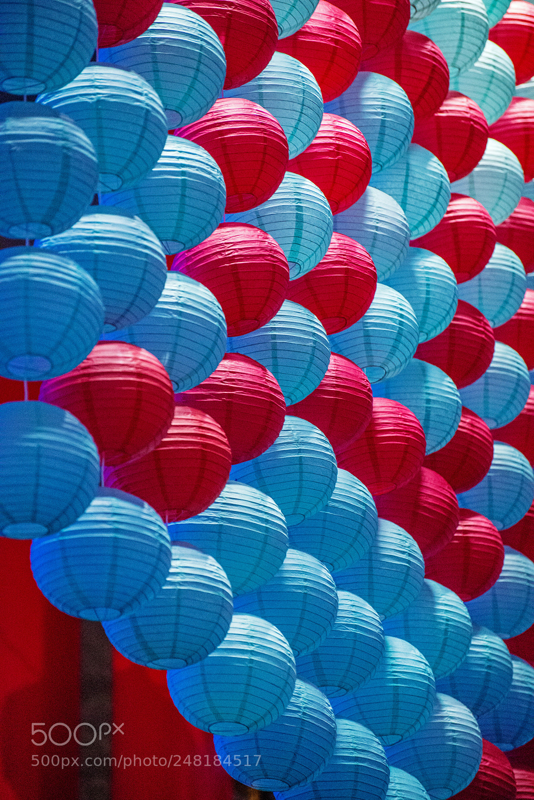 Nikon D610 sample photo. For chinese new year photography