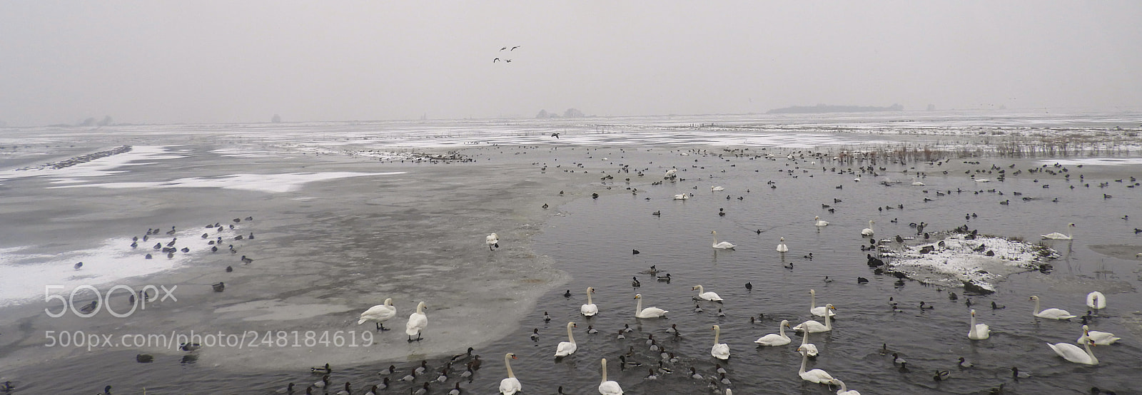 Nikon Coolpix B700 sample photo. Frozen scene at welney photography