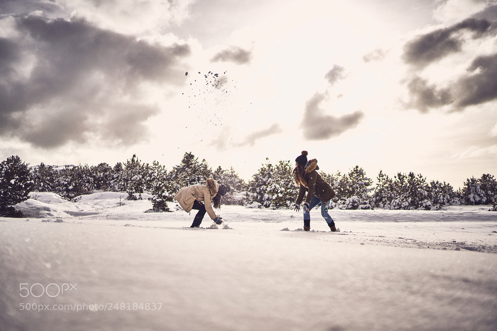 Sony a7R II sample photo. Snow snowday winter winterland photography