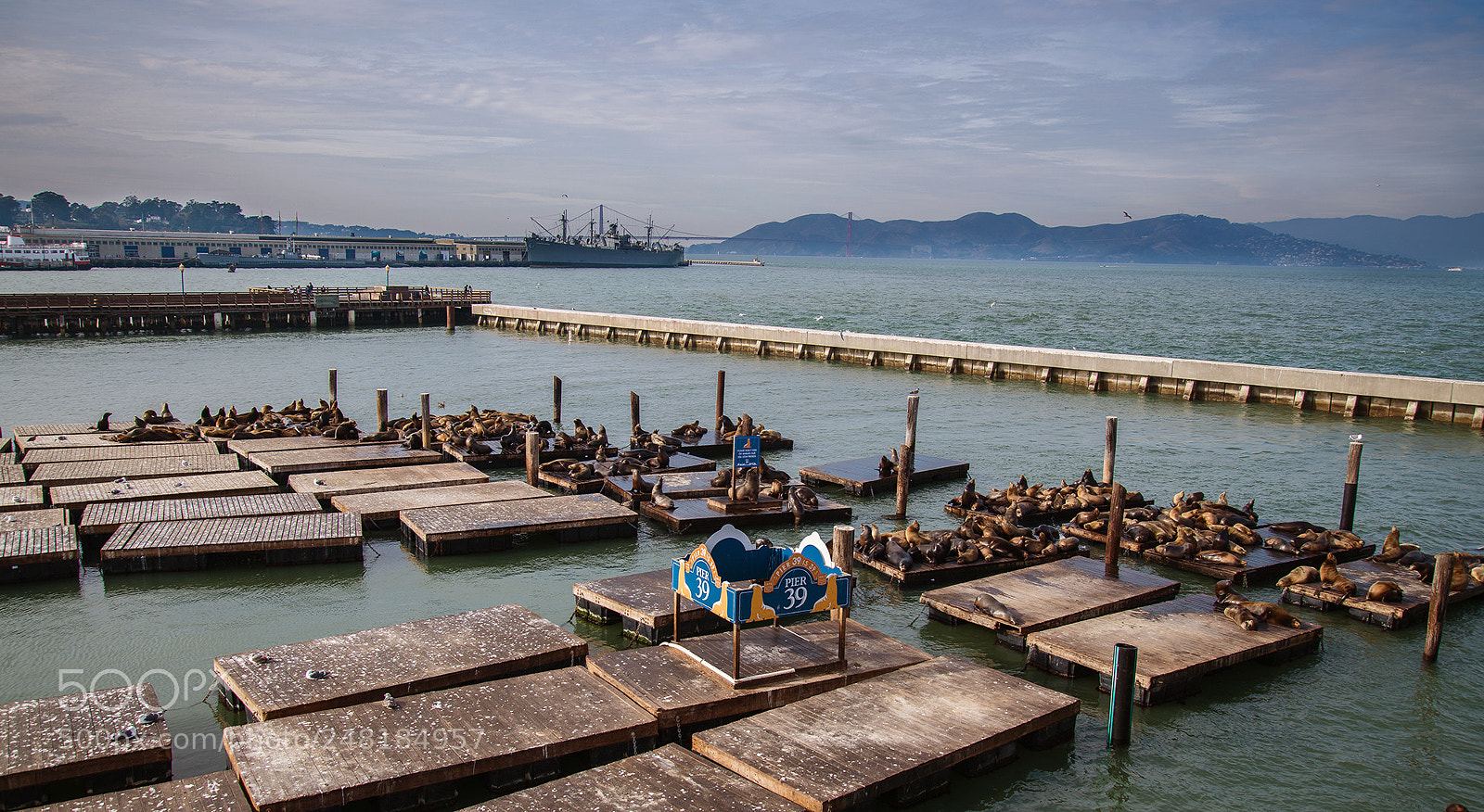 Nikon D850 sample photo. Pier 39 photography