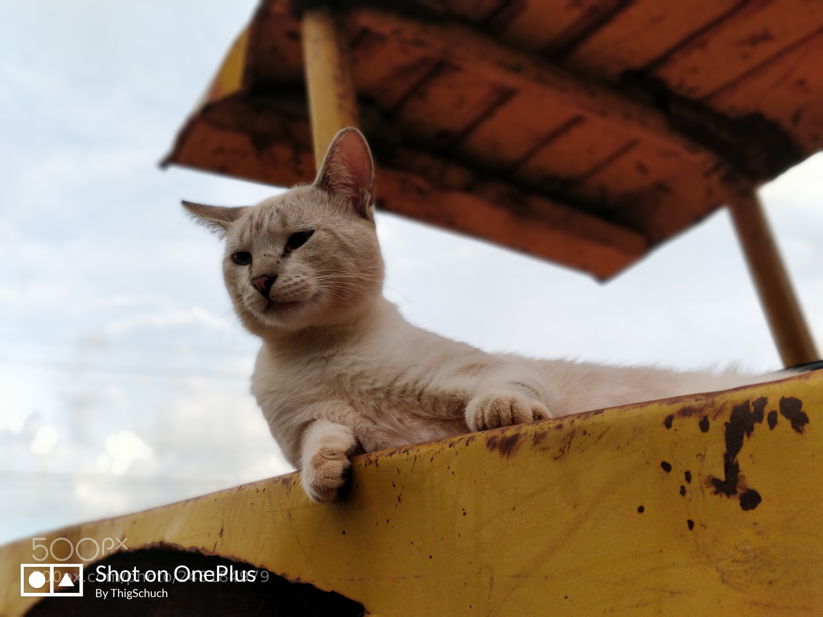 OnePlus 5 sample photo. Thinking about life photography